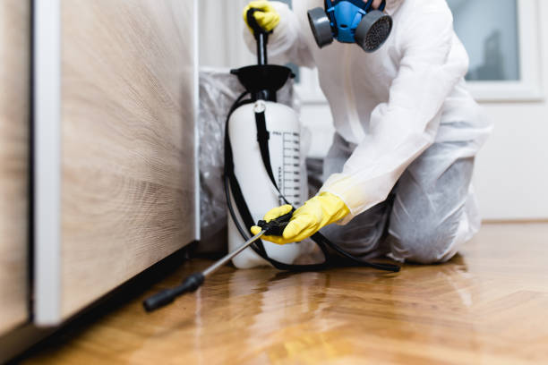 Best Exterminator Services  in Carbonville, UT