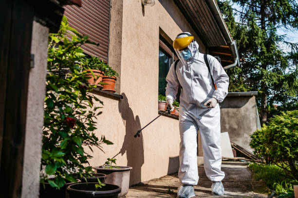 Best Mosquito Control Services  in Carbonville, UT