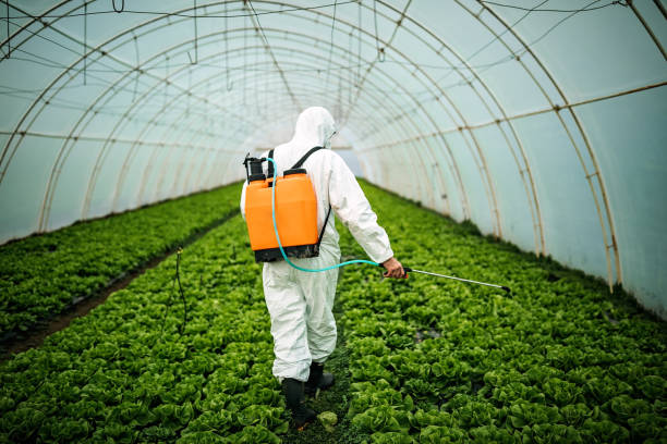 Trusted Carbonville, UT Pest Control Experts