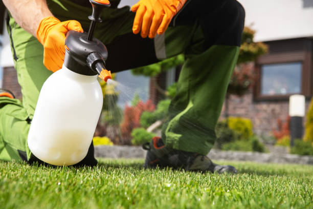 Best Flea Control Services  in Carbonville, UT