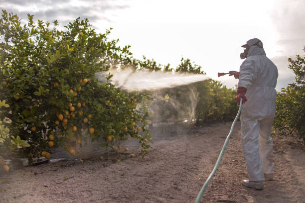 Best Pest Removal Services  in Carbonville, UT