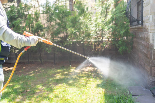 Best Pest Control Treatment  in Carbonville, UT