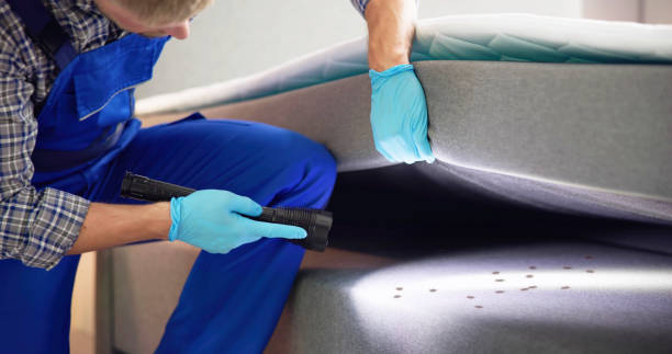 Best Pest Prevention Services  in Carbonville, UT