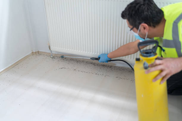 Best Emergency Pest Control  in Carbonville, UT