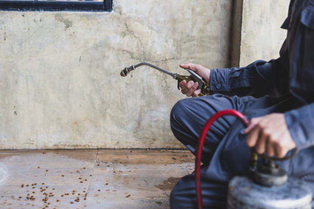 Best Pest Inspection Near Me  in Carbonville, UT